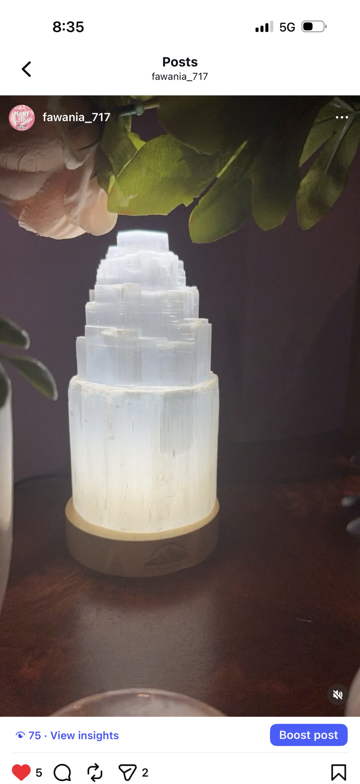 برج السيلينايت الرائع - Image 2